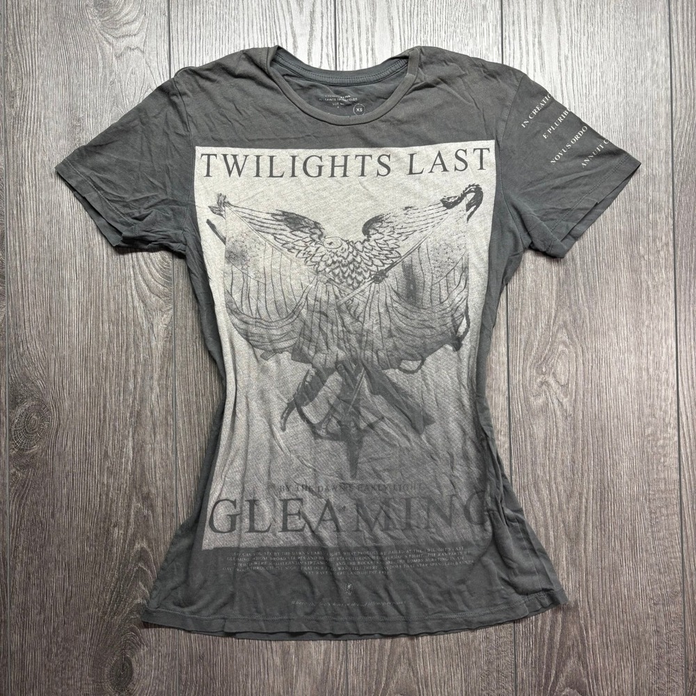 AllSaints Spitalfields Twilights Last Gleaming XS Graphic T-Shirt Charcoal XS